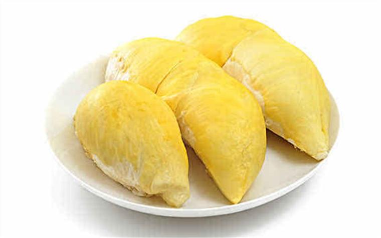 水果-262数据集