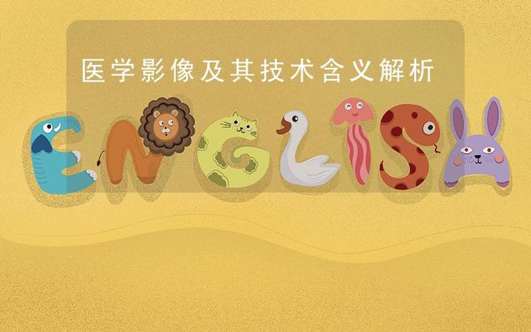 医学影像处理第二批数据集