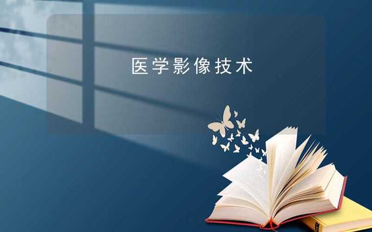 医学影像处理数据集