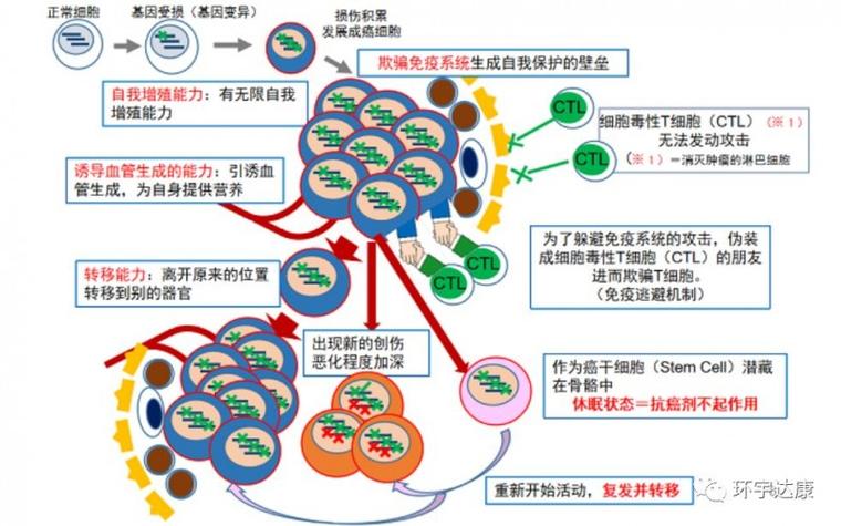 乳腺癌复发预测数据集（离散变量csv）