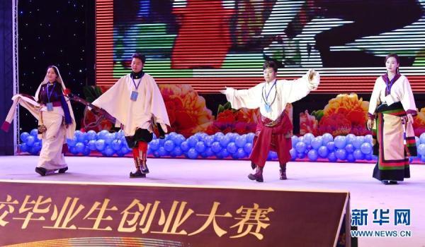 常规赛：PALM病理性近视病灶检测与分割已删除数据集