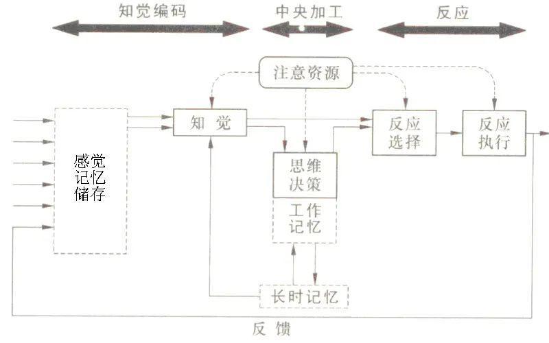 3600epochspot 模型参数数据集