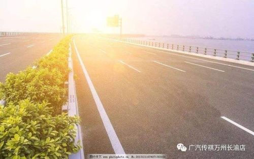 道路裂缝检测PPYOLOV2预训练参数数据集