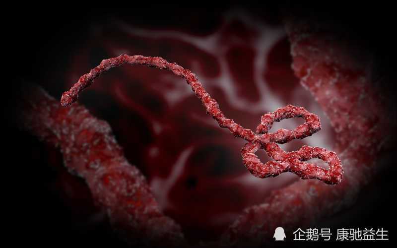COVID-19 daily cases数据集