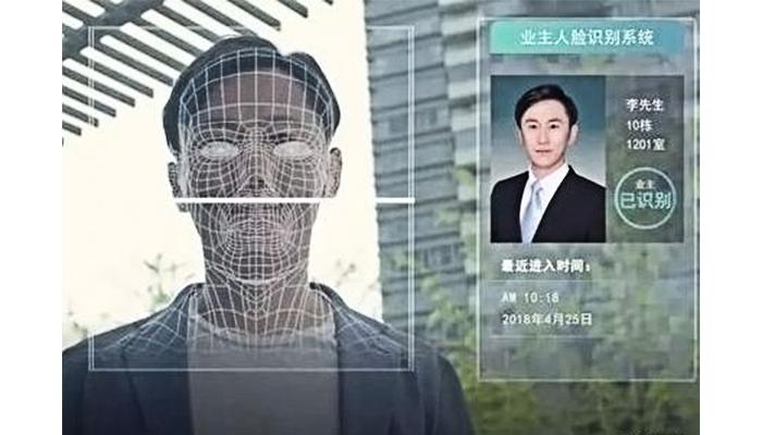 ball橄榄球识别数据集