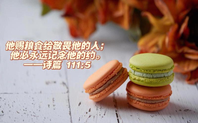 随机森林分玉米数据集
