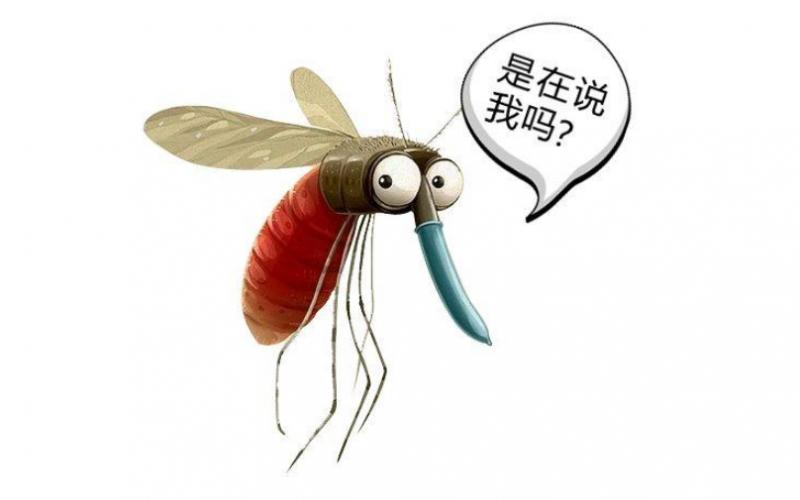 CDC COVID-19数据集
