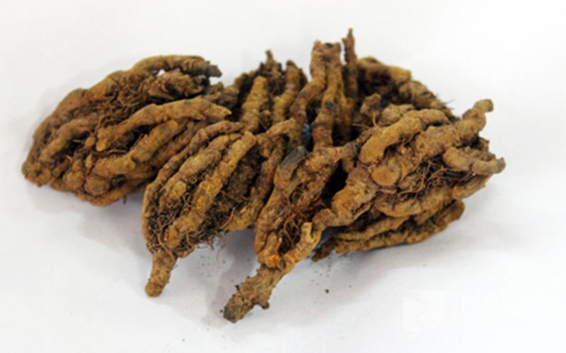 中草药图片数据集