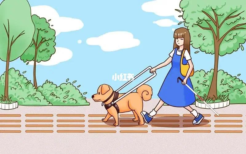 导盲犬室内直线盲道_v1数据集