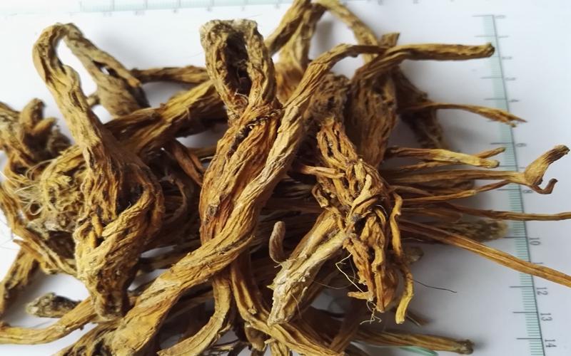 中药材数据集