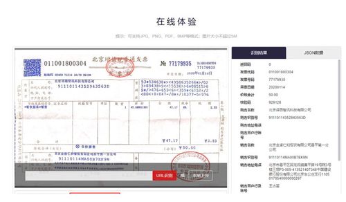 动手学OCR课程 文本识别