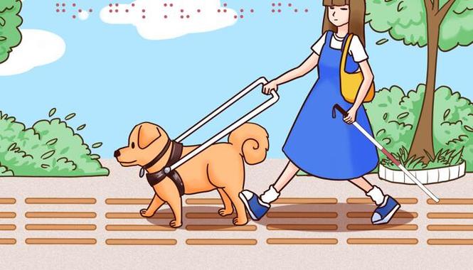 盲道手柄巡线1222-10507数据集