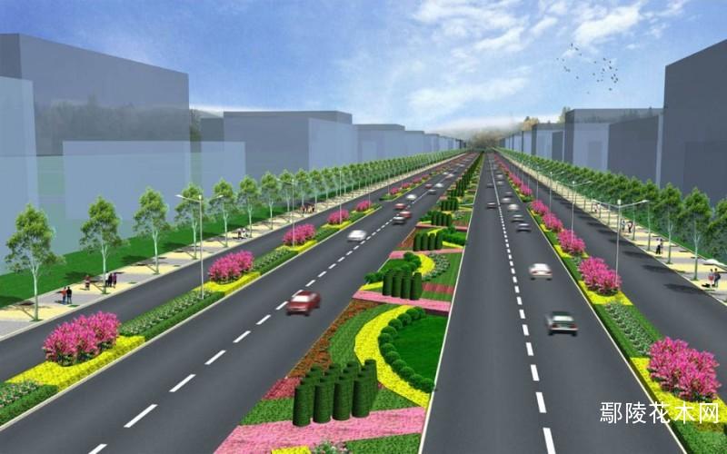 道路遗洒（未划分数据集）