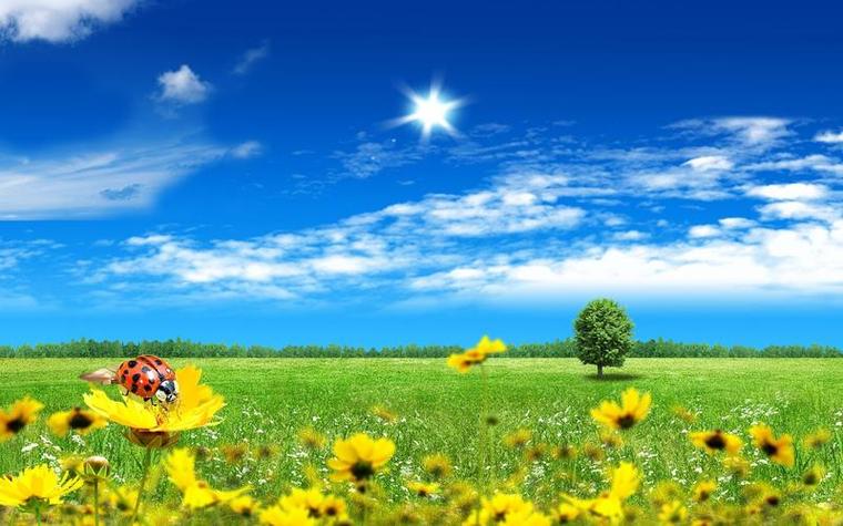 天气预测数据集3