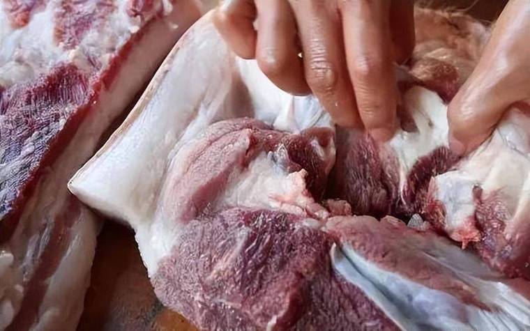 Meat_Quality_Assessment_Dataset数据集
