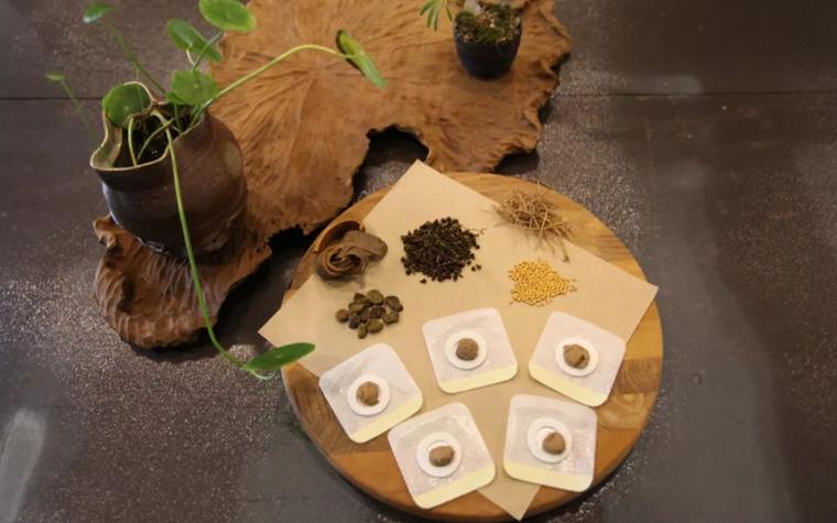 中药材图片识别数据集