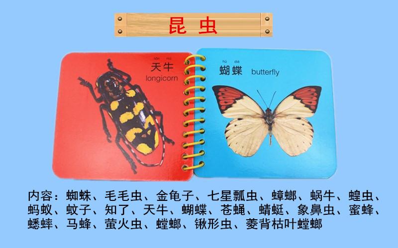 水果分类数据集5