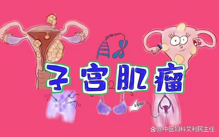 乳腺超声分割数据集