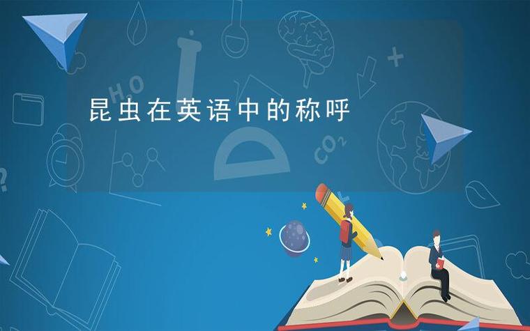 飞蛾数据集14