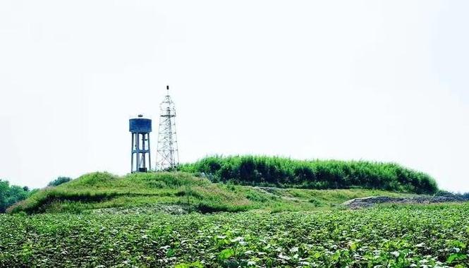 书籍测试数据集