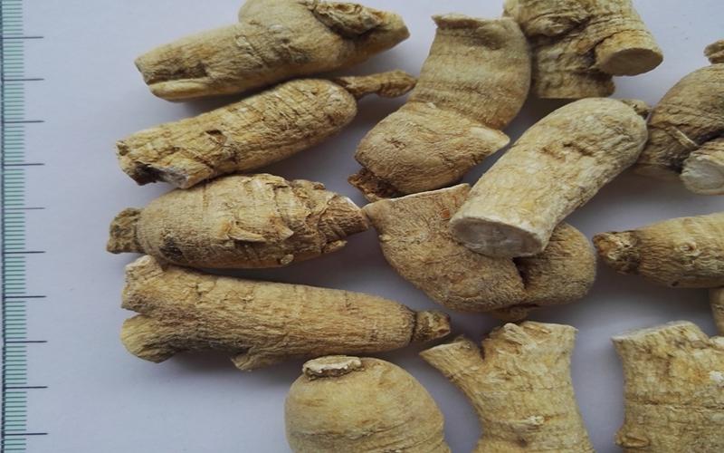 中草药识别数据集3