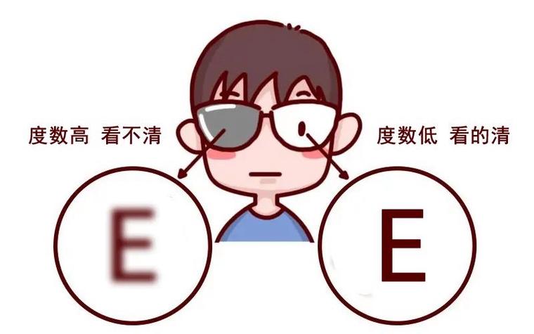 视网膜数据集15