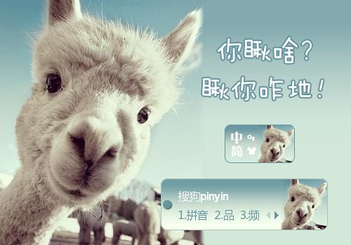 动物图像数据集