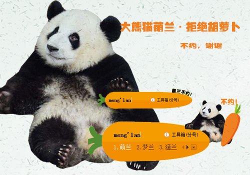 动物照片数据集2