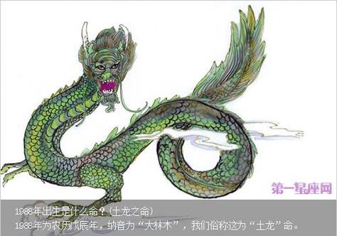 一级保护动物图像分类数据集汇总