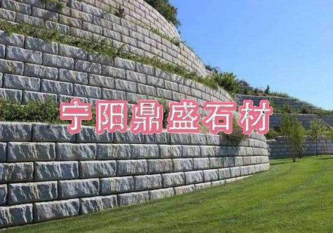 盲道1508数据集