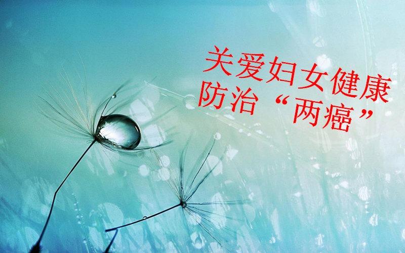 CIBM新的实验数据集