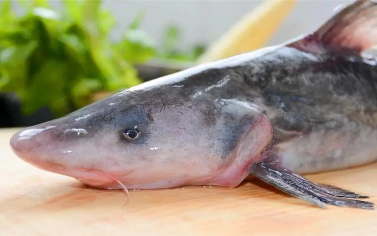 fish3.0数据集
