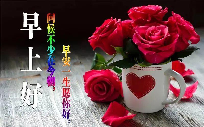 矢车菊数据集