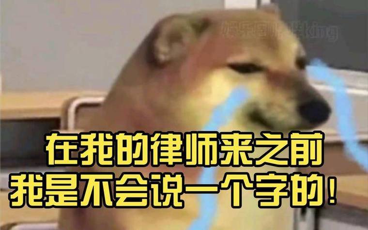 法研杯2018数据集-多标签分类