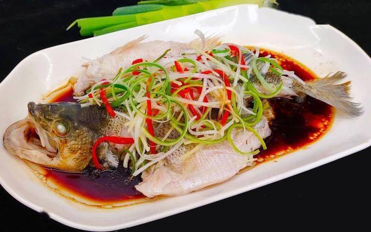 Fish4Knowledge数据集