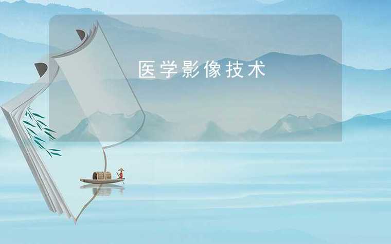 MIDL2019_3D医学影像分割数据集