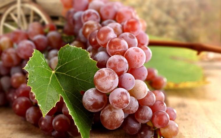 Fruit Recognition 水果识别数据集