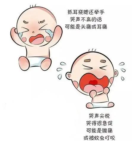 婴儿哭声识别数据集