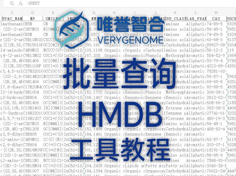 修改文件数据集