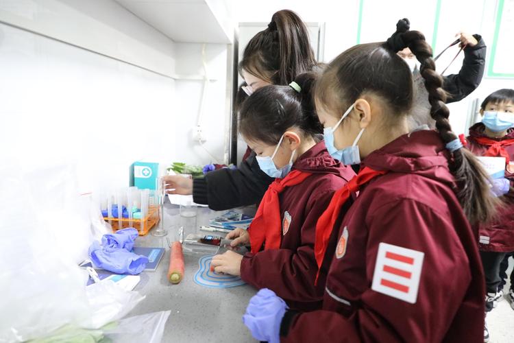 stop标志物数据集