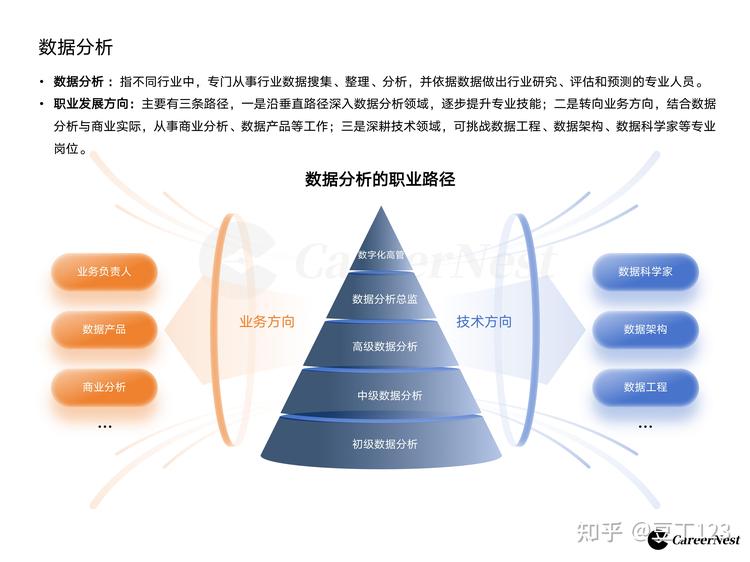 数据分析师岗位数据集