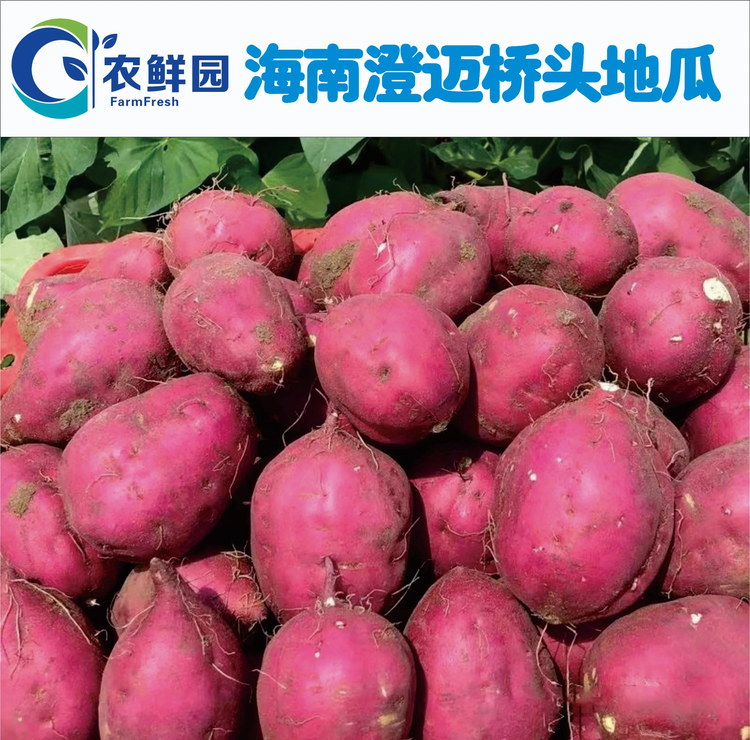 原始地瓜数据集