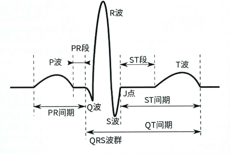 ECG数据集