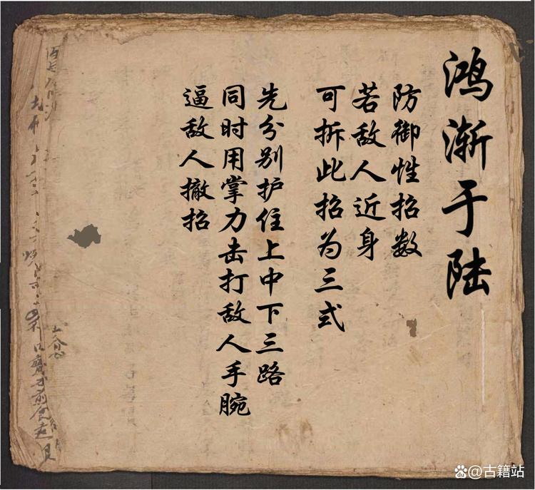 烦烦秘籍（coco）数据集