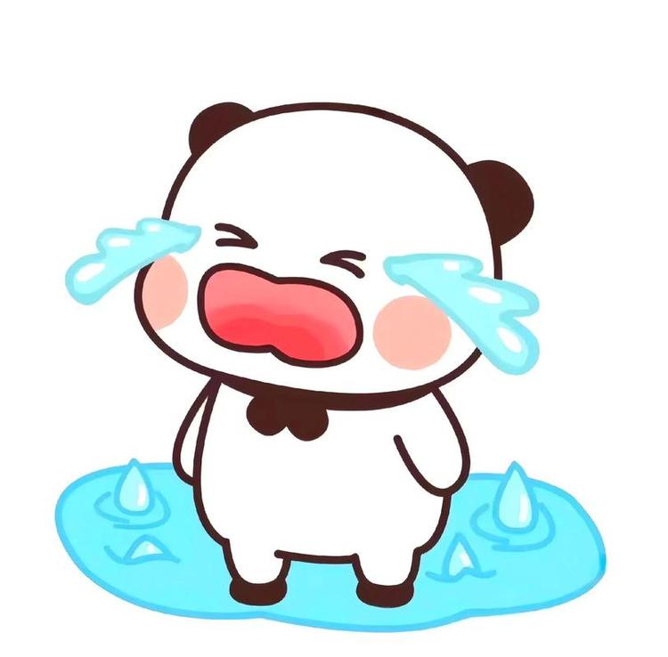 PaddleClas+表情六分类数据