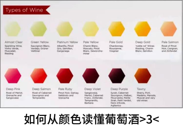 葡萄酒评论数据集