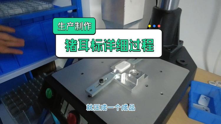 牛耳标目标检测数据集