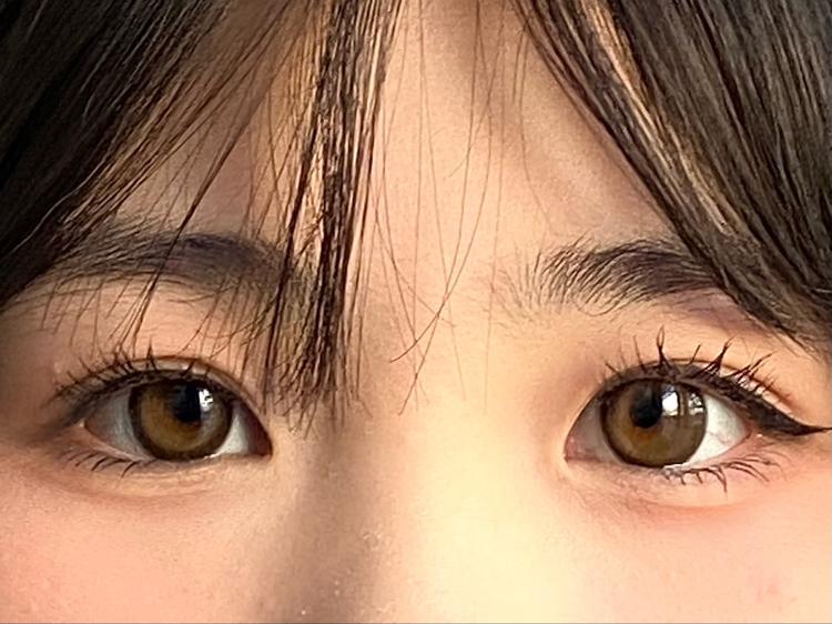 OIA_ODIR数据集