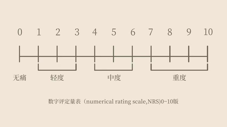 毛发数据集