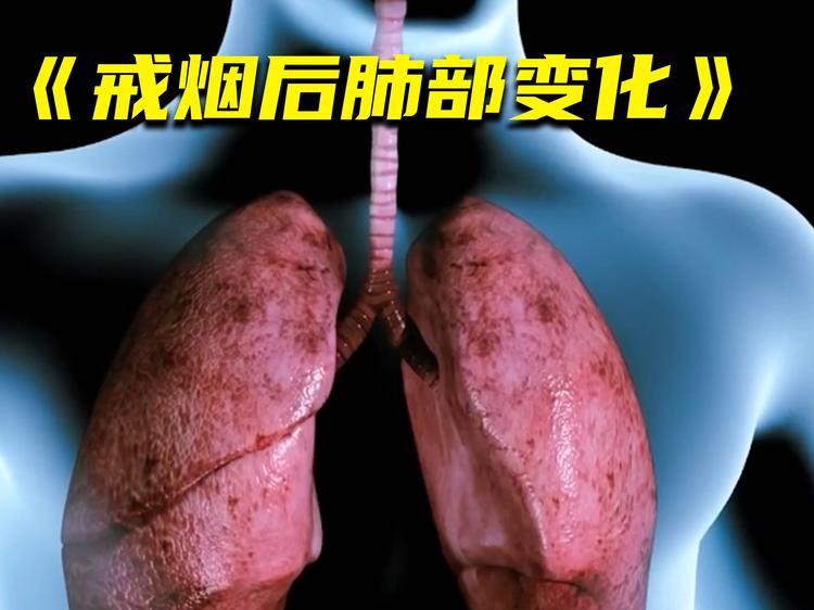 LunaSeg数据集